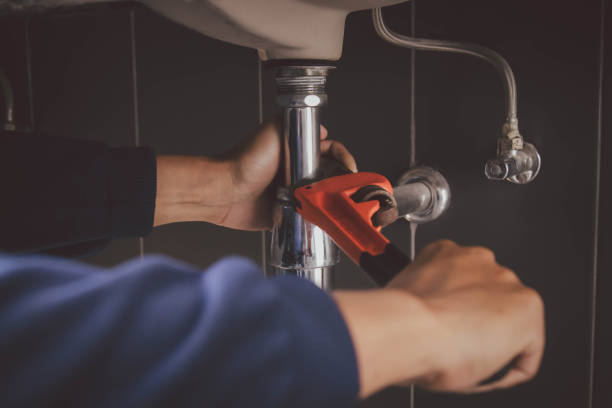 Best Clogged Drain Plumber  in South Carthage, TN
